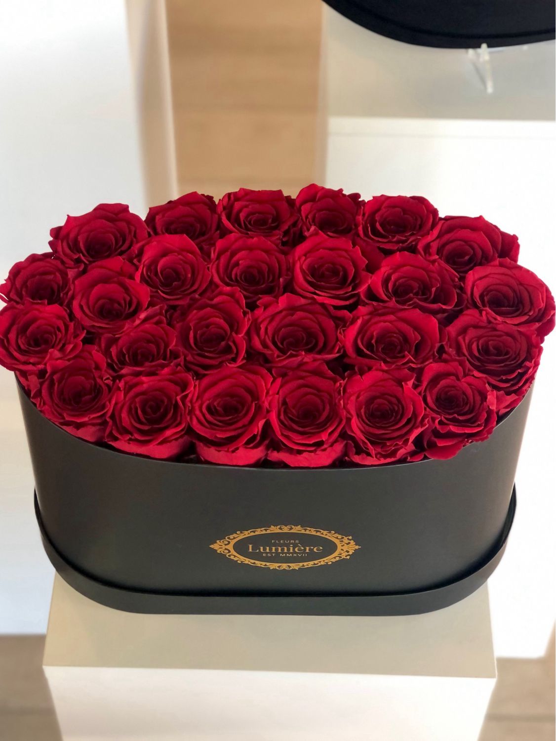 Celine Oval Box (Everlasting)