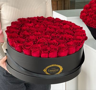 Maison Royale (Everlasting) Maison Royale (Everlasting)