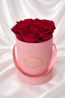 Rosalie Petite Box 💗 (Everlasting)