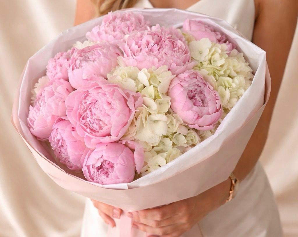 Peony Dream Peony Dream