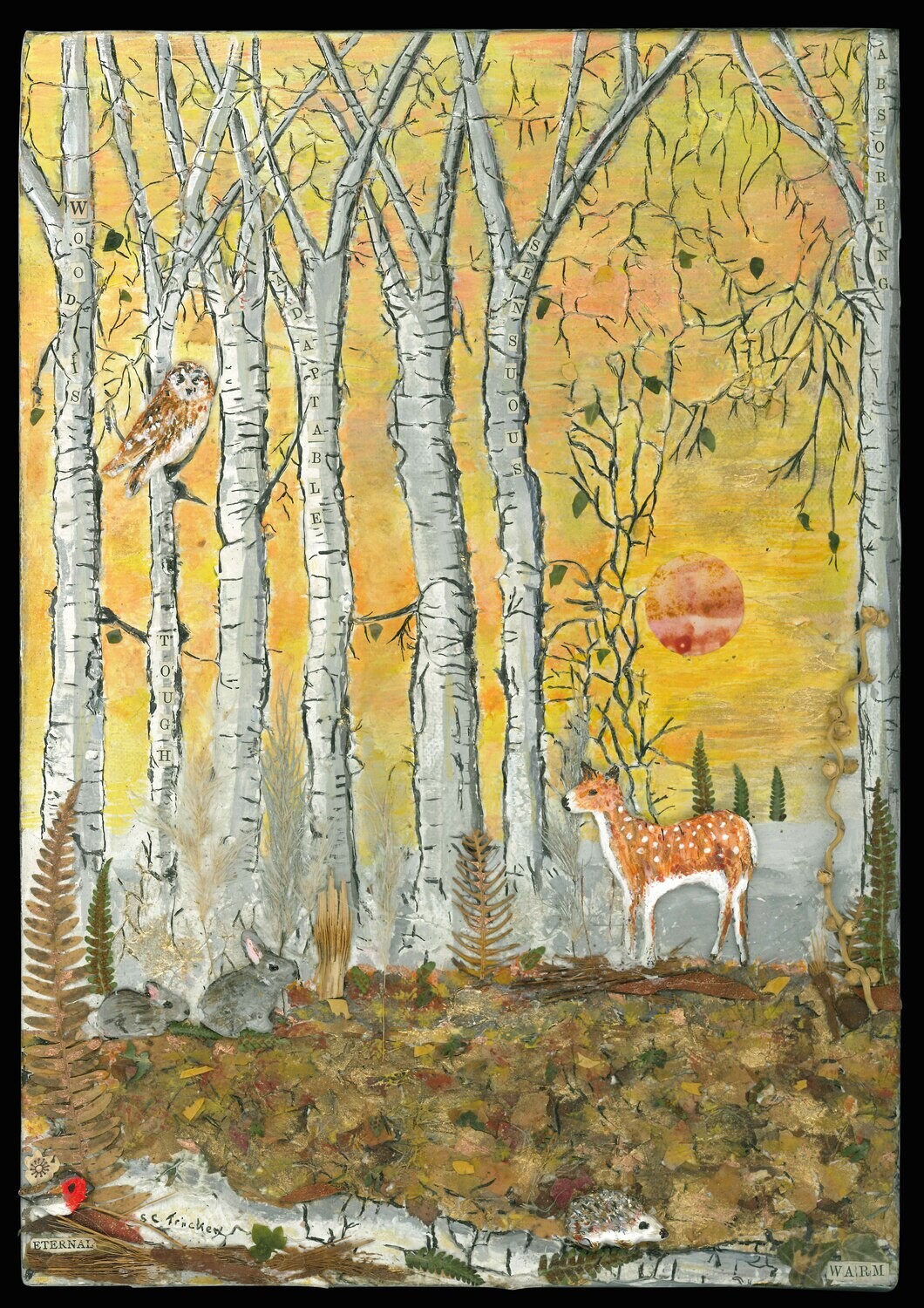 Set of 4 cards (  Birch Trees in Autumn,  Prinknash Abbey Gardens, Love Heart ). usually £2.85 each card