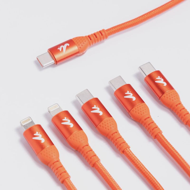 Mr. Fog - 5 head Type &quot;C&quot; Charging Cable