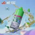Mr. Fog - Berry Steezy - AB/MB/ON, Size: Watermelon 30mL 20mg