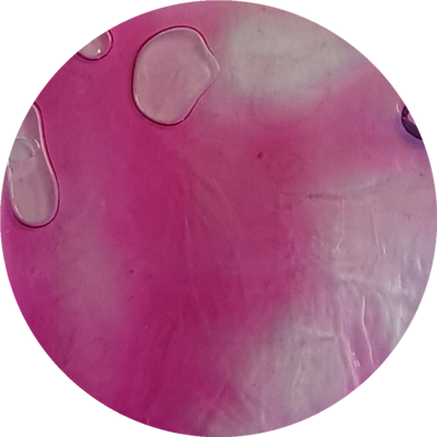 MAGENTA   Transparent Liquid Pigment 30ml/ 1 oz