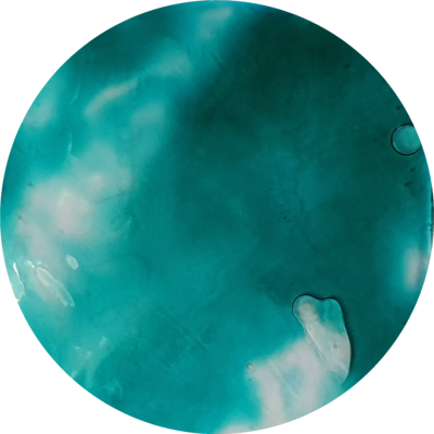 PINE GREEN Transparent Liquid Pigment 30ml/ 1 oz PINE GREEN Transparent Liquid Pigment 30ml/ 1 oz