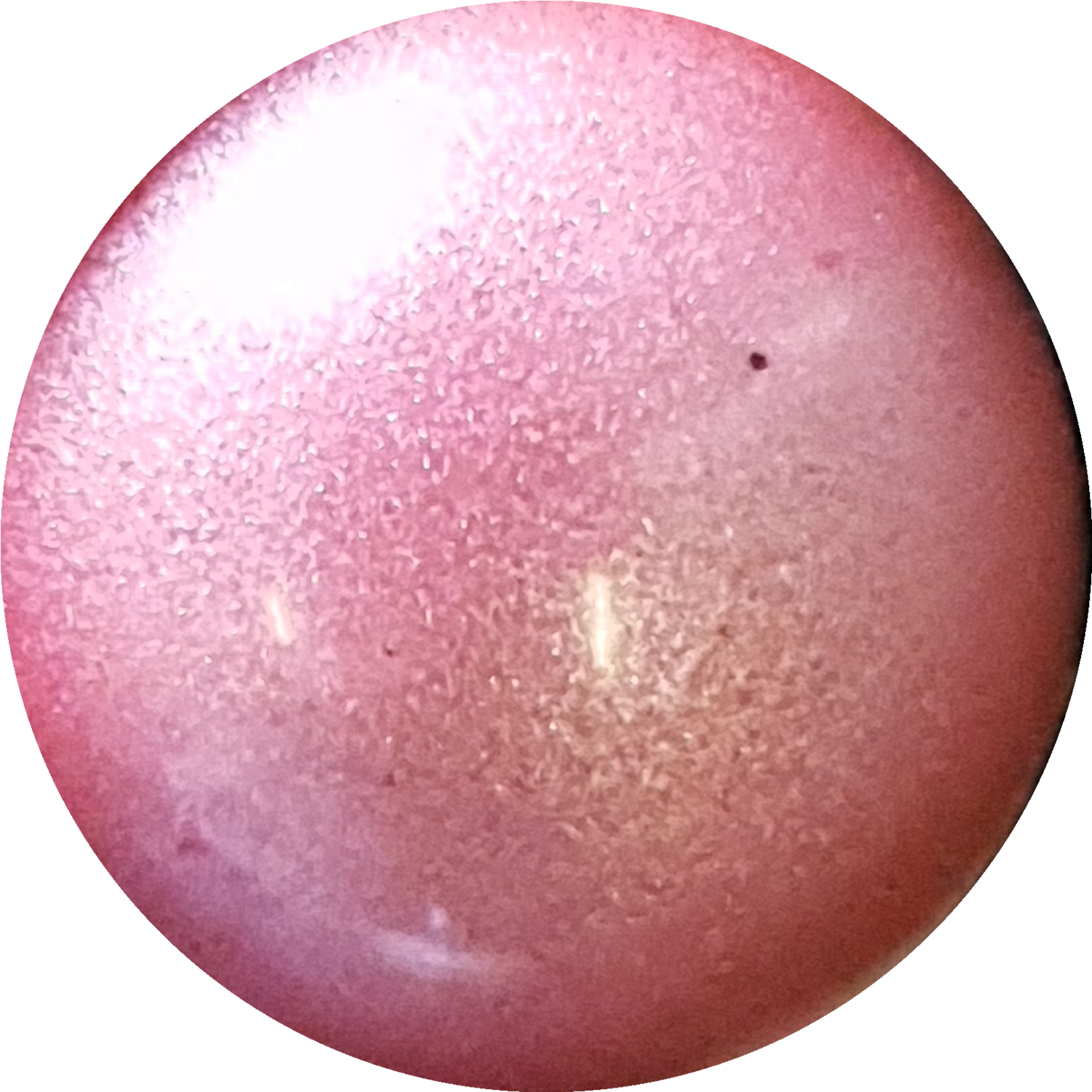 FROSTY PINK  Pearlescent Pigment Powder 50ml ( ~20g)