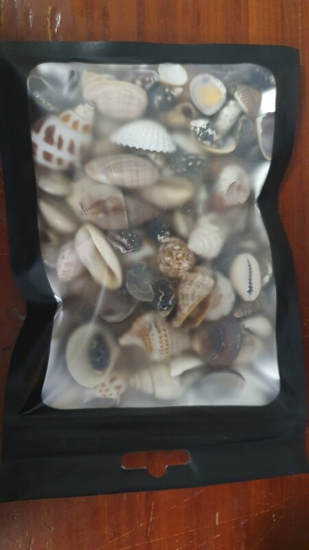 Mixed Natural Shells 100g