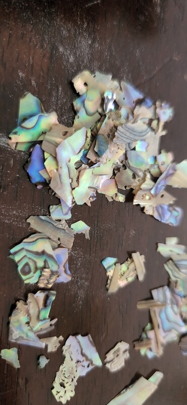 ABALONE shell slices various sizes 20g  bag Earth colours