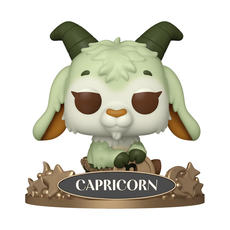 Capricorn #14 Zodiac