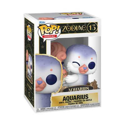 Aquarius #13 Zodiac