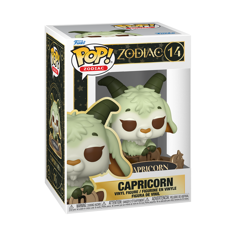 Capricorn #14 Zodiac