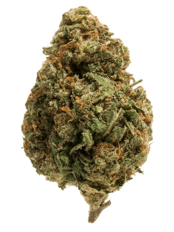 Cherry Mojito (Sativa/Hybrid)