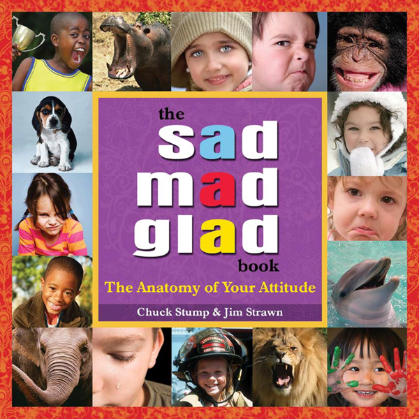 Sad Mad Glad Book