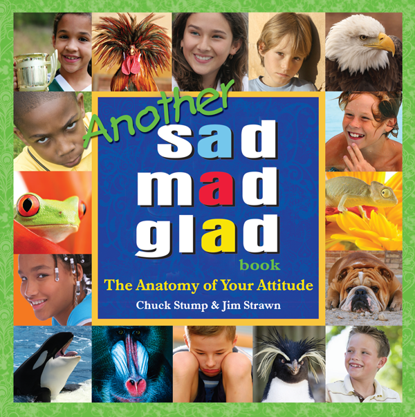 Another Sad Mad Glad Book
