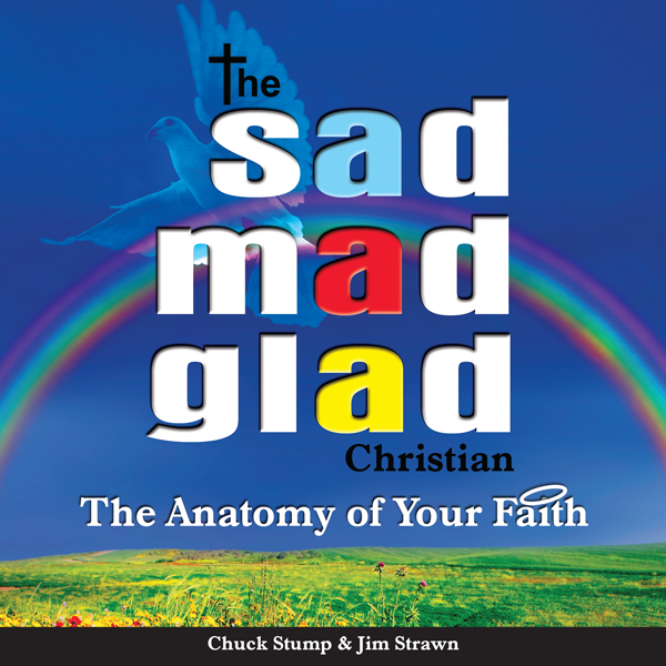 The Sad Mad Glad Book Christian
