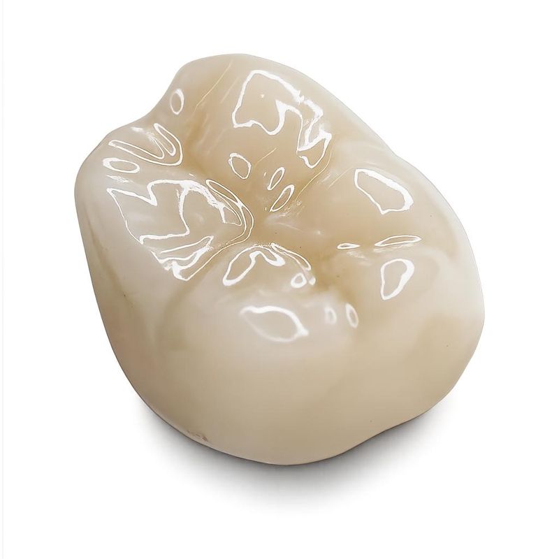 Zirconia Crown and Pontic