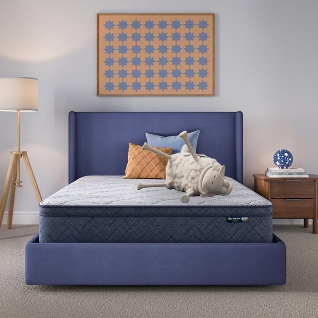 Serta Perfect Day 10" Plush Pillow Top Mattress in a Box -Queen