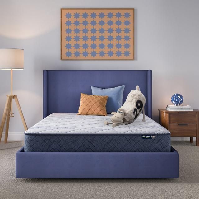 Serta Perfect Day 10 Serta Perfect Day 10" Medium Mattress in a Box -Queen