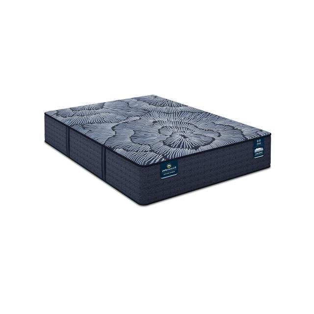 Perfect Sleeper X Excelled 13.75" Hybrid Extra Firm Mattress -Queen