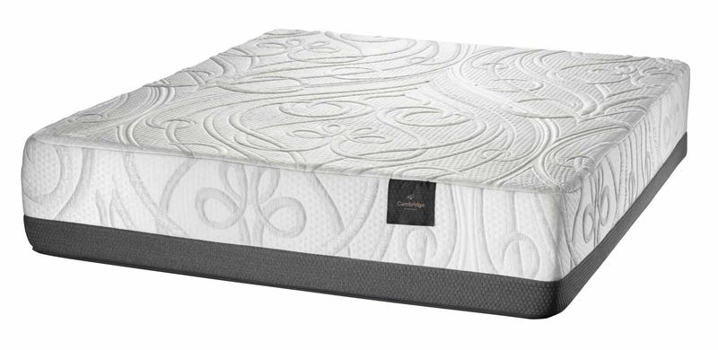 White Dove Mattresses