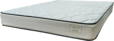 Season Semi Plush II  Series 2 Sided