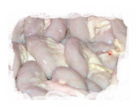 Tripa De Cerdo Kilo