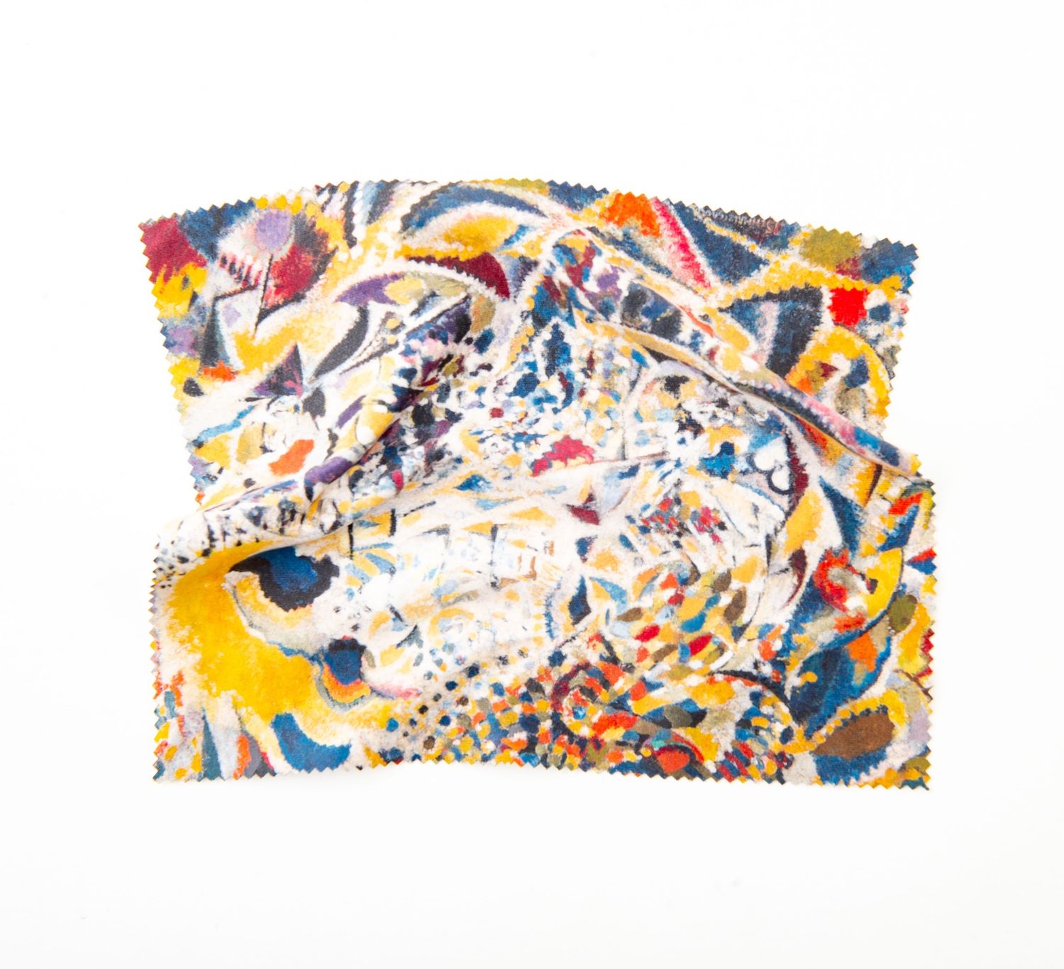 Jules Schmalzigaug Rhythm of Light Waves Lens Cloth