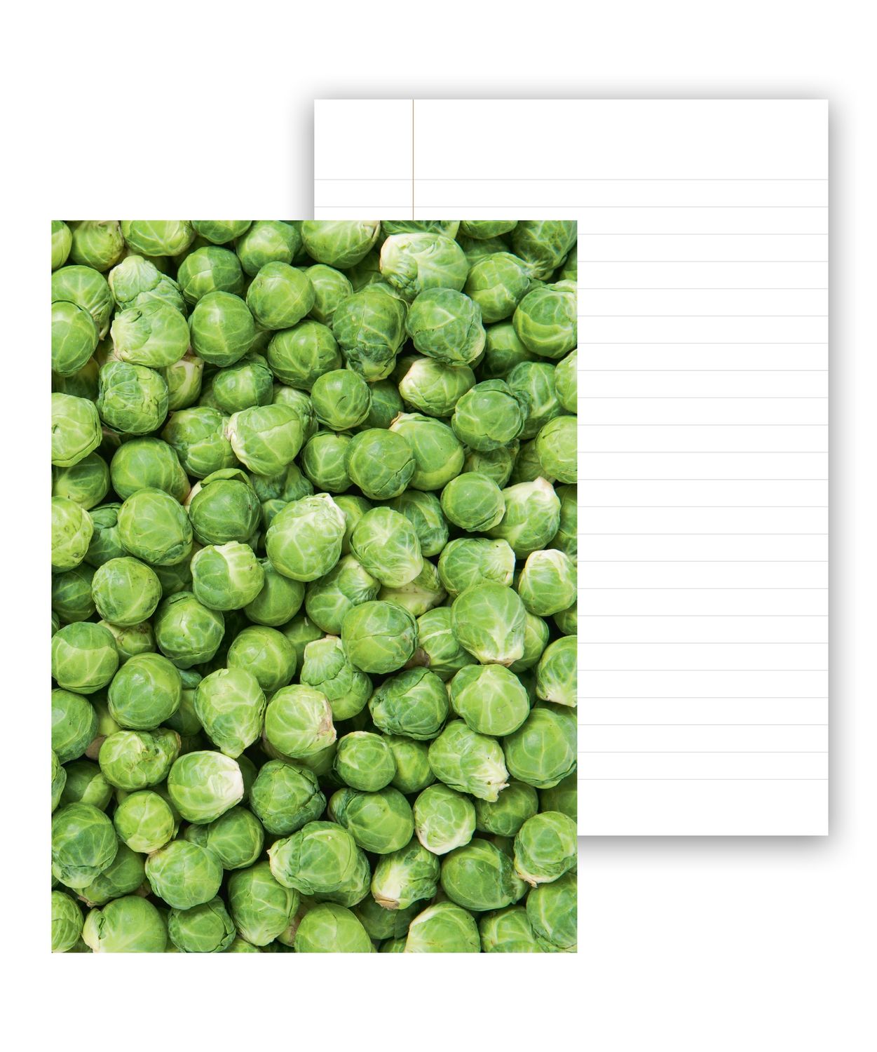 Notebook - Sprouts