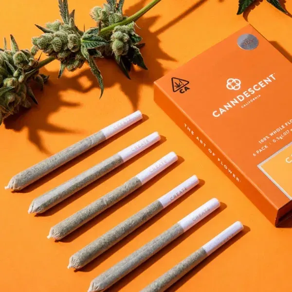 ACAI MINTS Pre-Roll