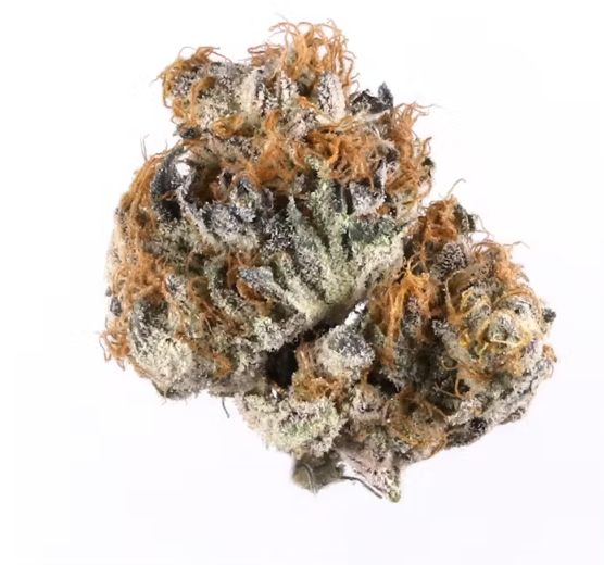 White Gummy