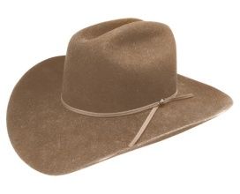 Hat-Co Stetson Rodeo Jr Buck Western Hat SWROJR0134