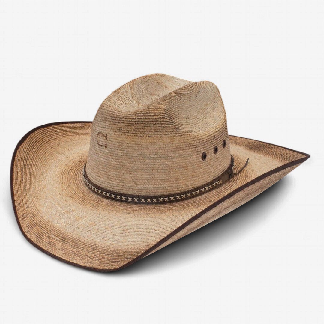 Charlie 1 Horse Comanche Burned CSCMCEB3041