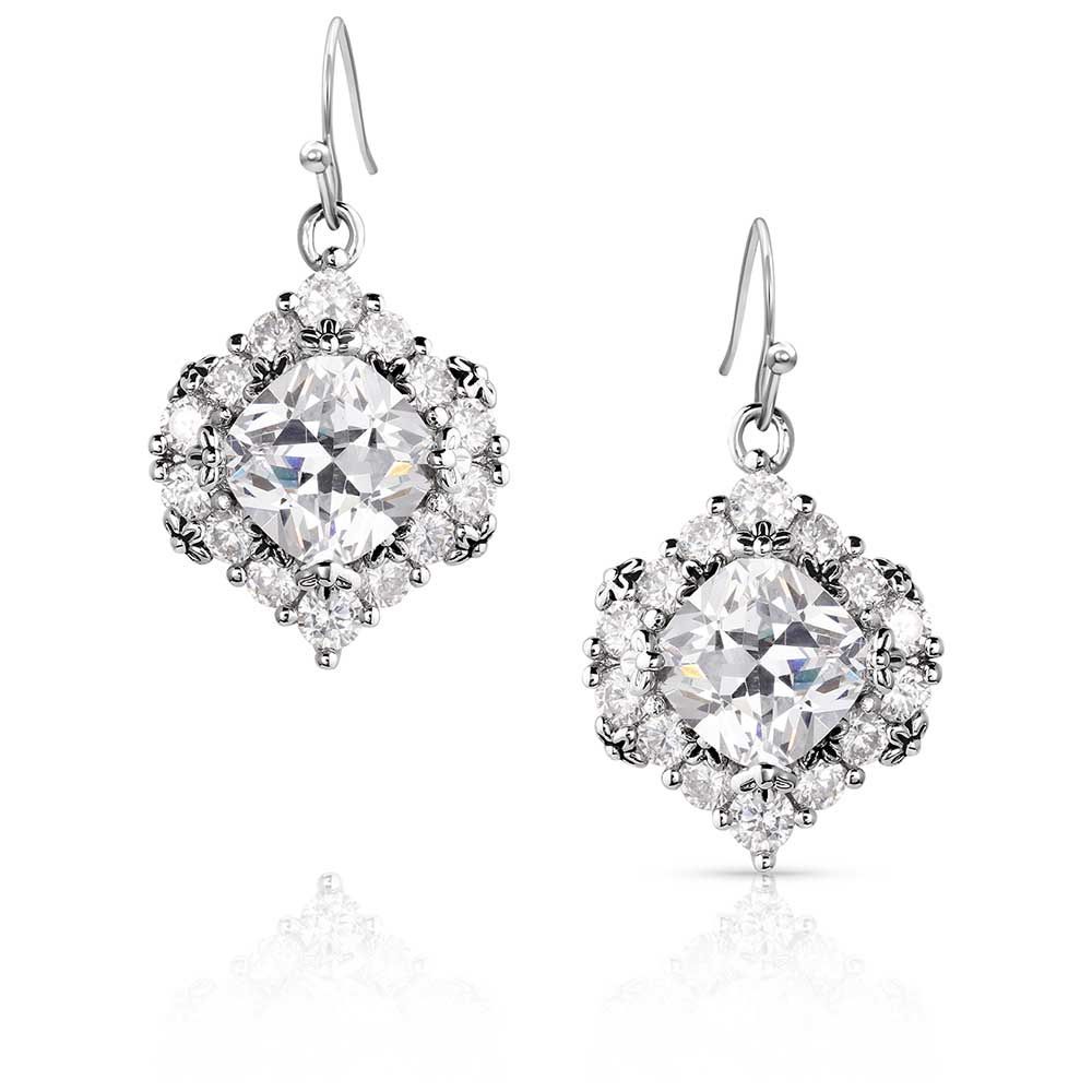 Montana Silversmiths Women's Refined Light CZ Earrings ER6037