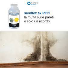 SX 5911 PULITORE LT 0.50