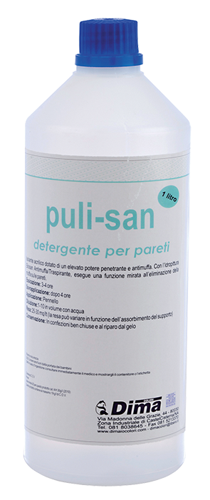 PULISAN DETERGENTE LT 1