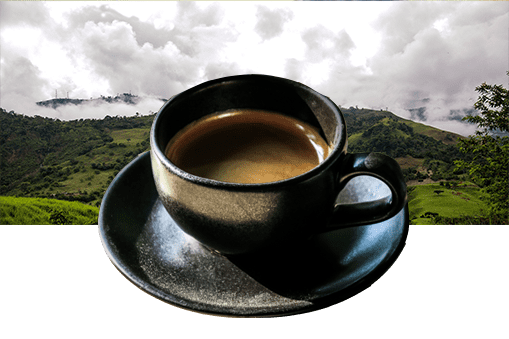 Décaféiné (sans solvant) Décaféiné (sans solvant)