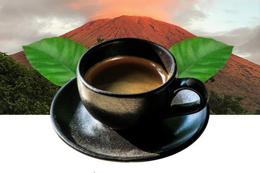 Bourbon rouge – Joya Verde Bourbon rouge – Joya Verde