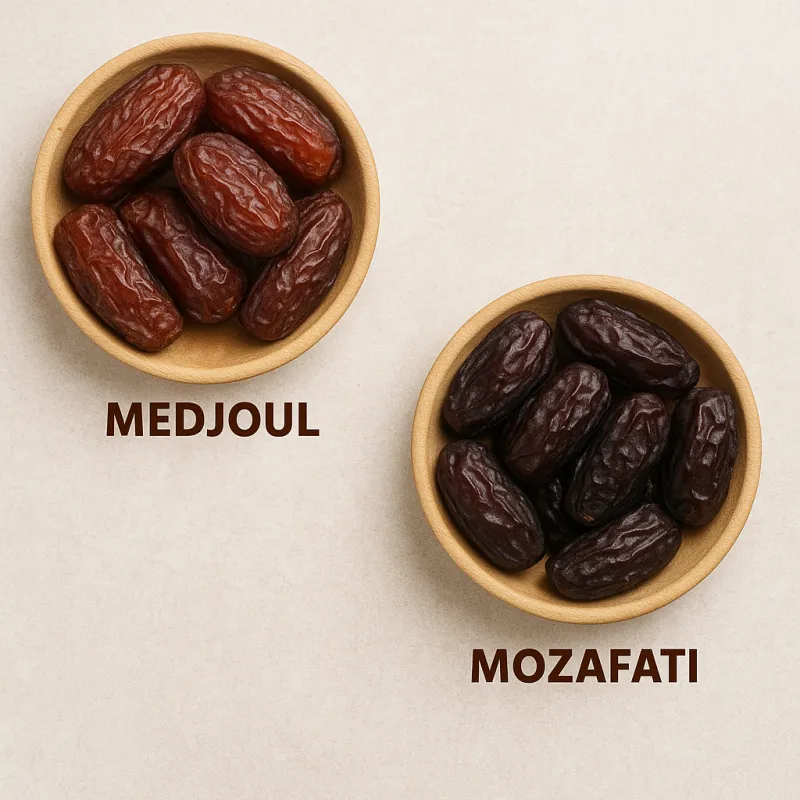 Zestaw podstawowy MINI