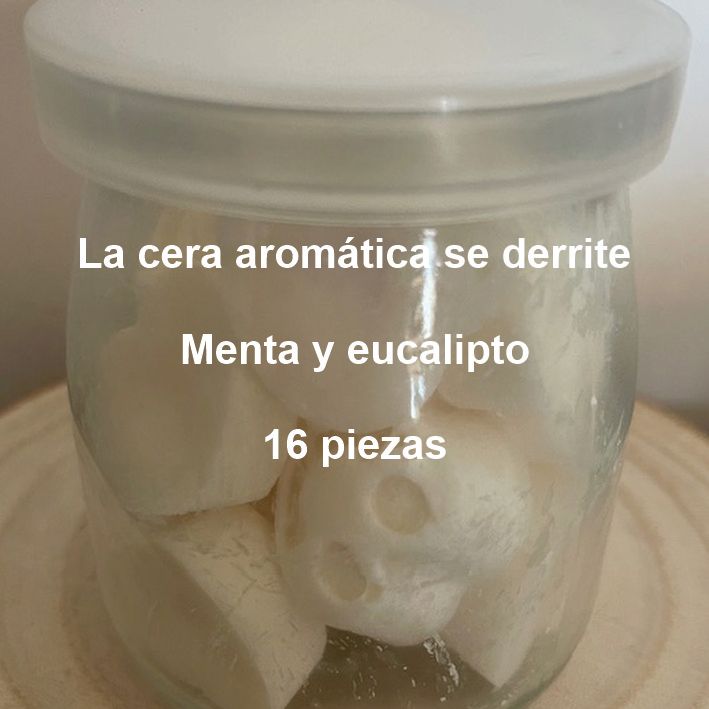 Aromatherapy Aroma Wax Melts - Peppermint and Eucalyptus