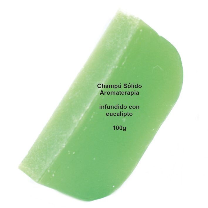 Solid Shampoo with Argan Base 100g - Eucalyptus