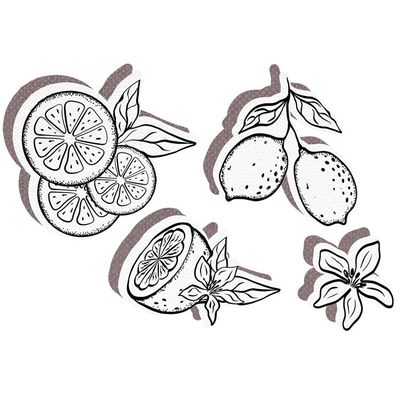 Stanzformen ‘Zitrusfrüchte’