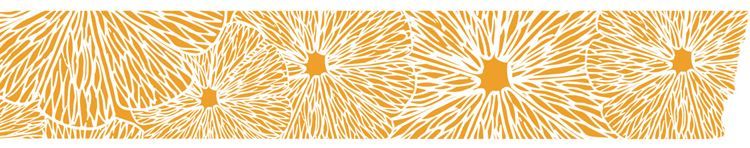 Washi-Tape XL 40mmx3m ‘Zitrusfrüchte’