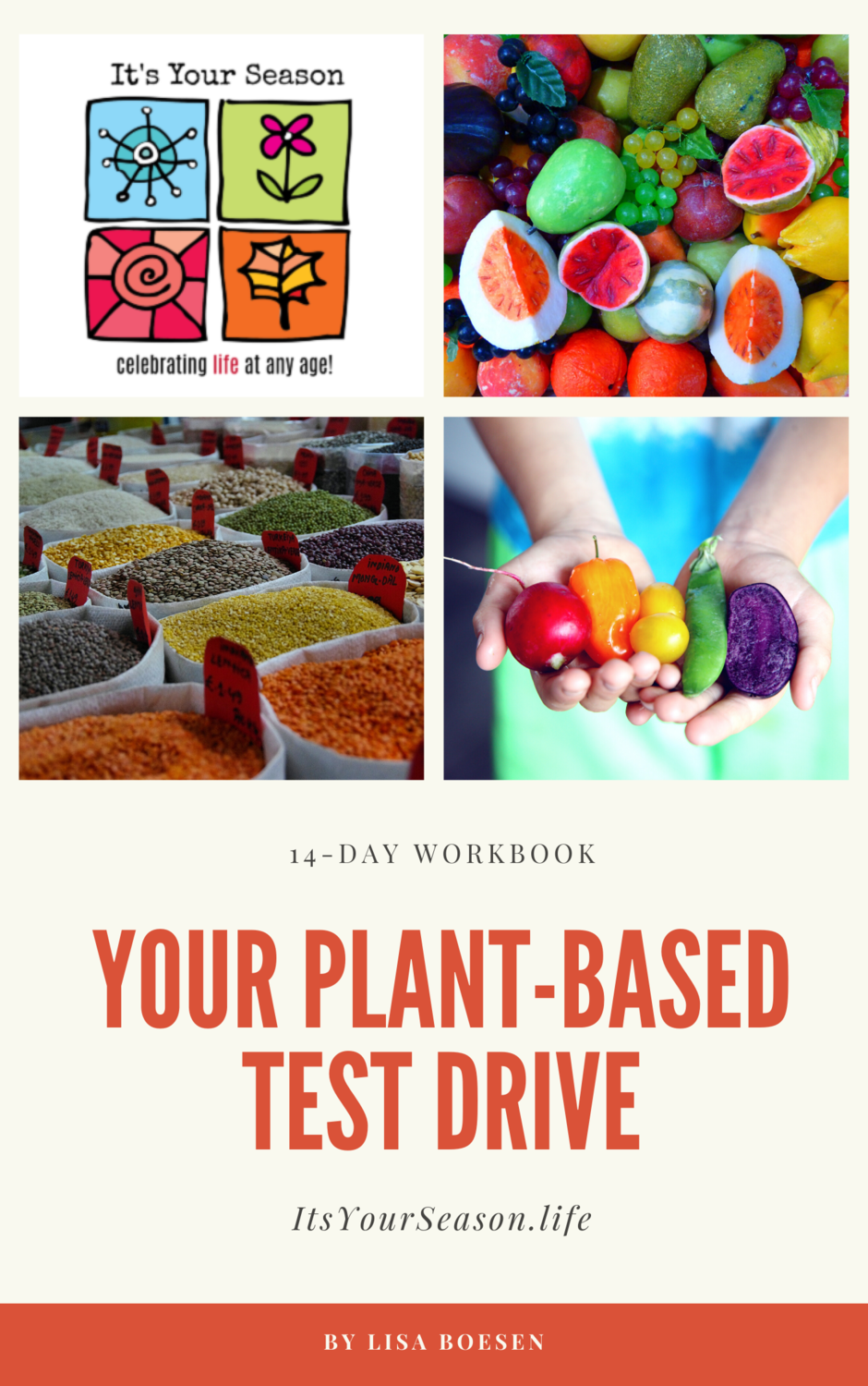 Your Plant-based Test Drive Workbook - Ebook