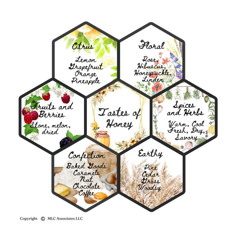 Honey Tasting Matrix - where earth meets the hive!