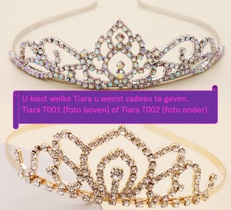 Gouden of zilveren kindertiara in luxe prinsessenbox voor meisjes