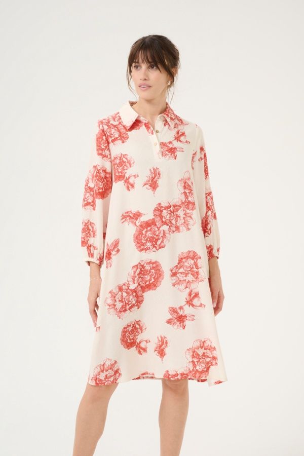 Alexa Short Dress in Red Flower