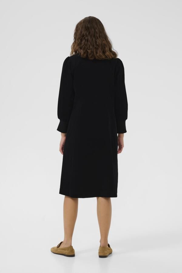 Rhaena Dress in Black