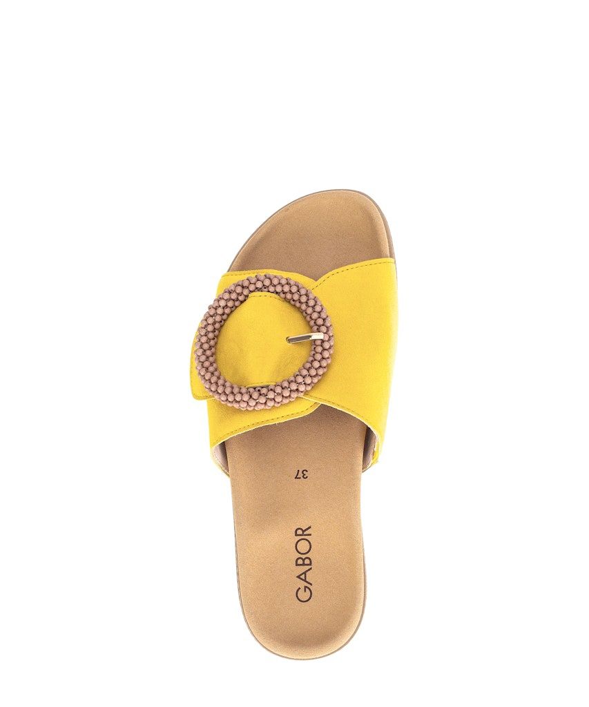 Carolina Flat Sandals with Circle Buckles in Brown