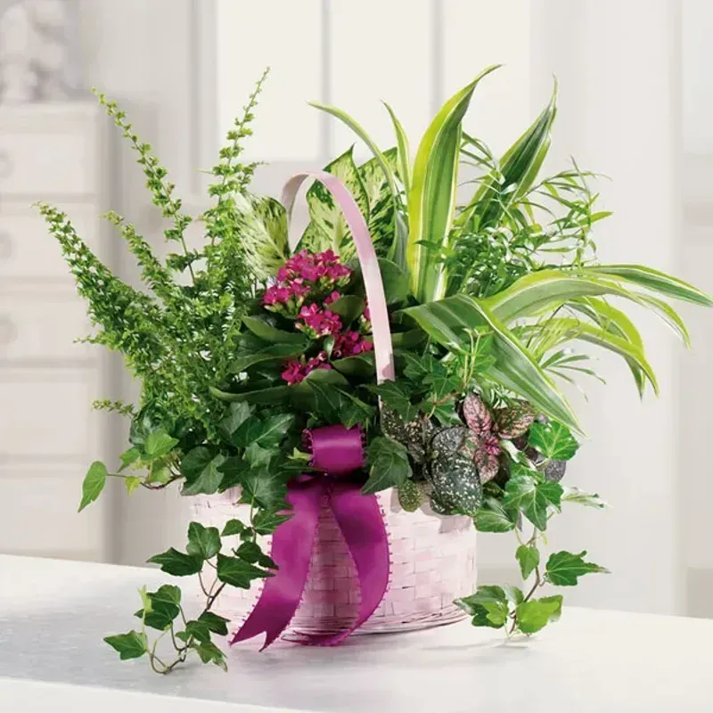 Blooming Basket Dish Garden