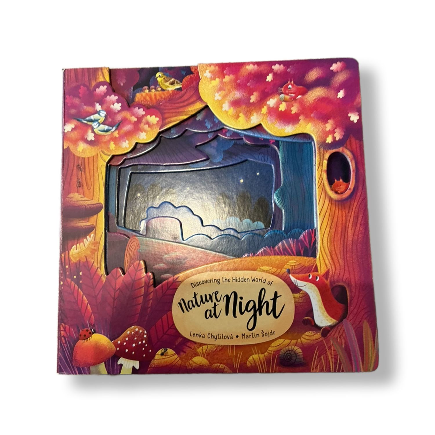 Discovering theHidden World